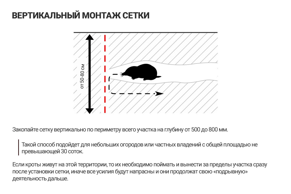 Сетка пластиковая от кротов Black Mole 2х50 м (100 кв.м.) — изображение 4